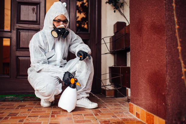 Reliable Cockroach Control contractor in Charleston, SC by Nex Pest Control