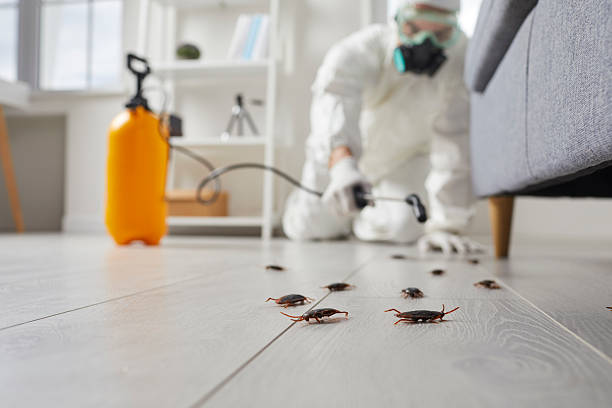 Affordable Cockroach Control solutions in Charleston, SC
